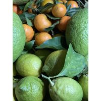 ead3900f60204fd2acf3079a66d78bac