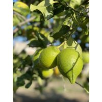 fb4ebeb9037246a2b2d0d1a7b78a6ca1