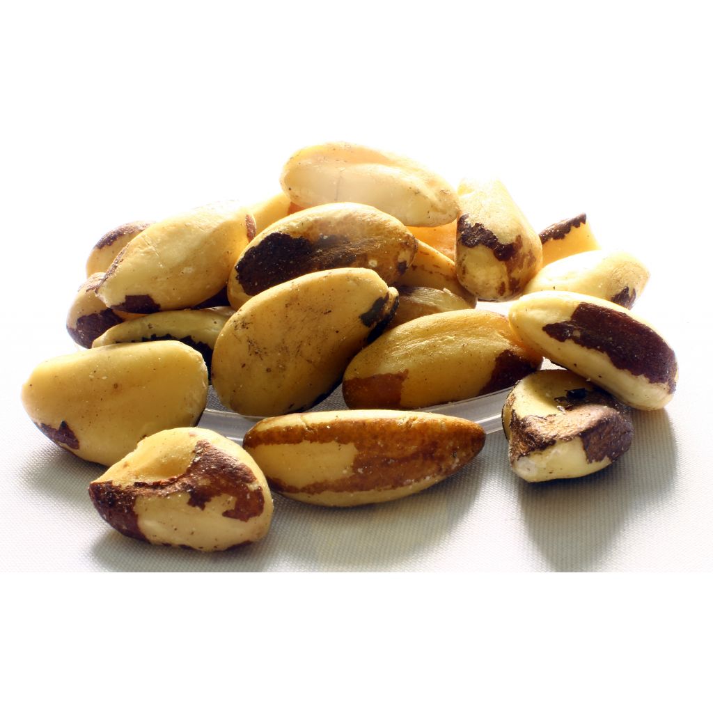 Noci del Brasile Bio 5Kg