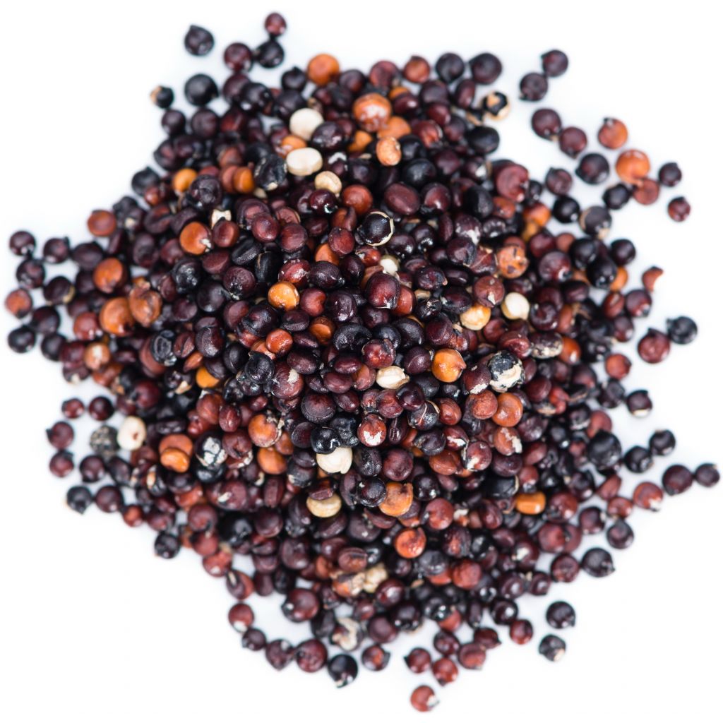 Quinoa Nera bio 5Kg