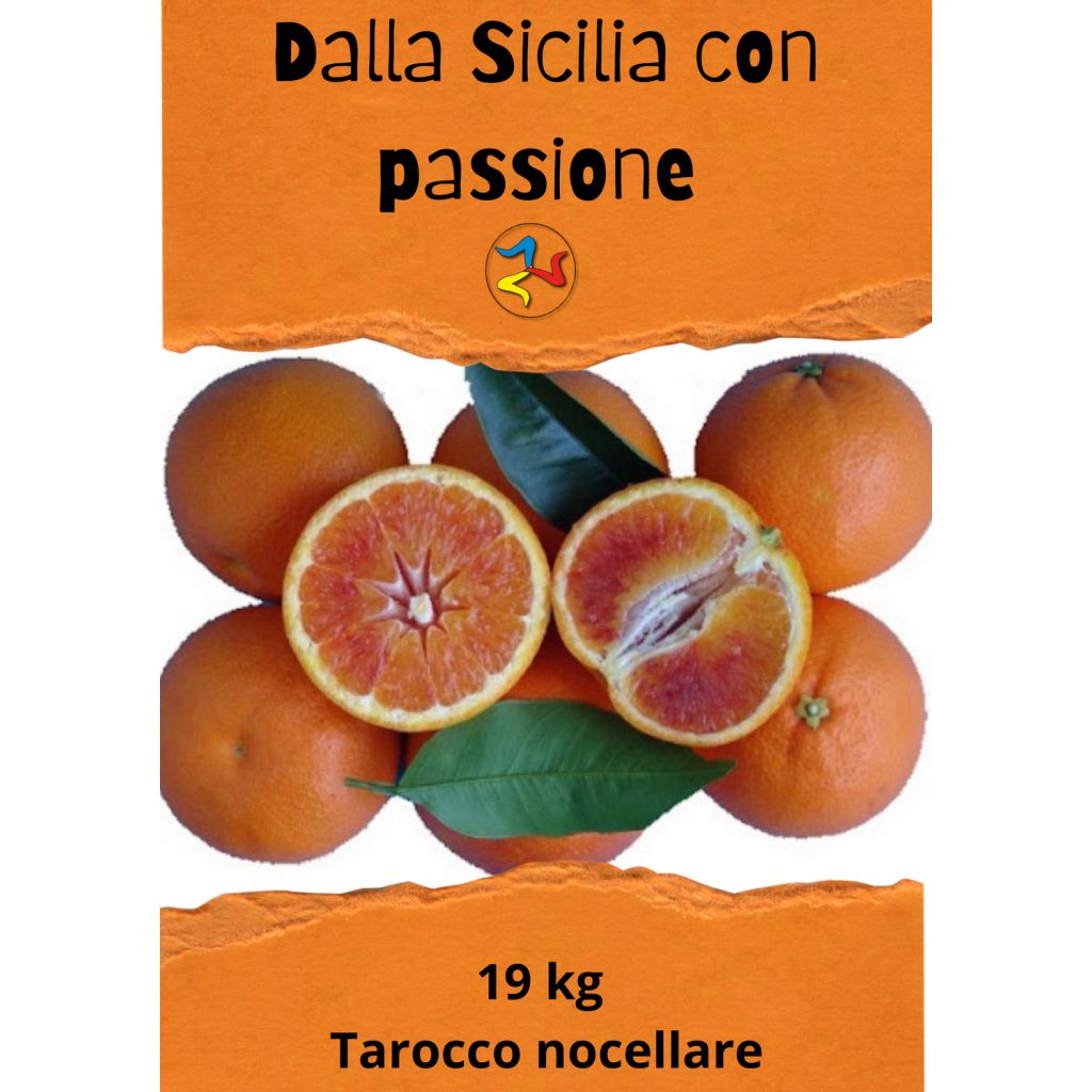 19 Kg di Arance Tarocco Nucellare