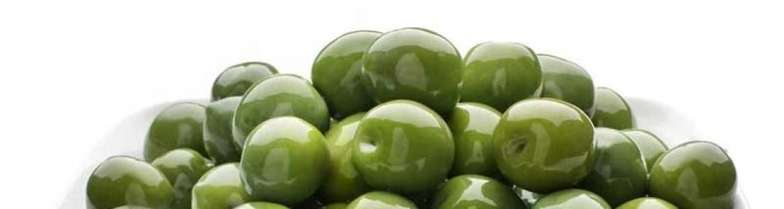 terramia societ&agrave; cooperativa