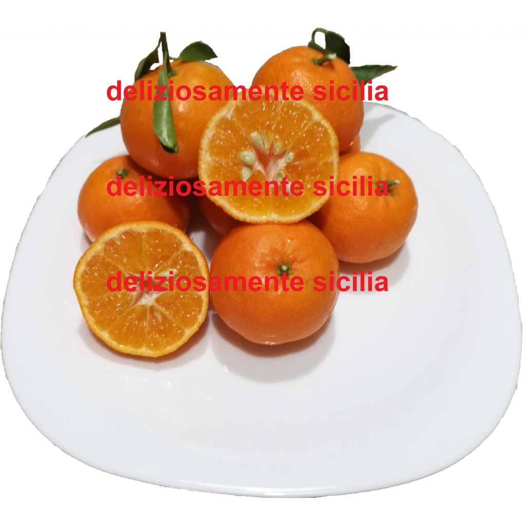Clementine monreal con semi di Sicilia - 10 Kg.