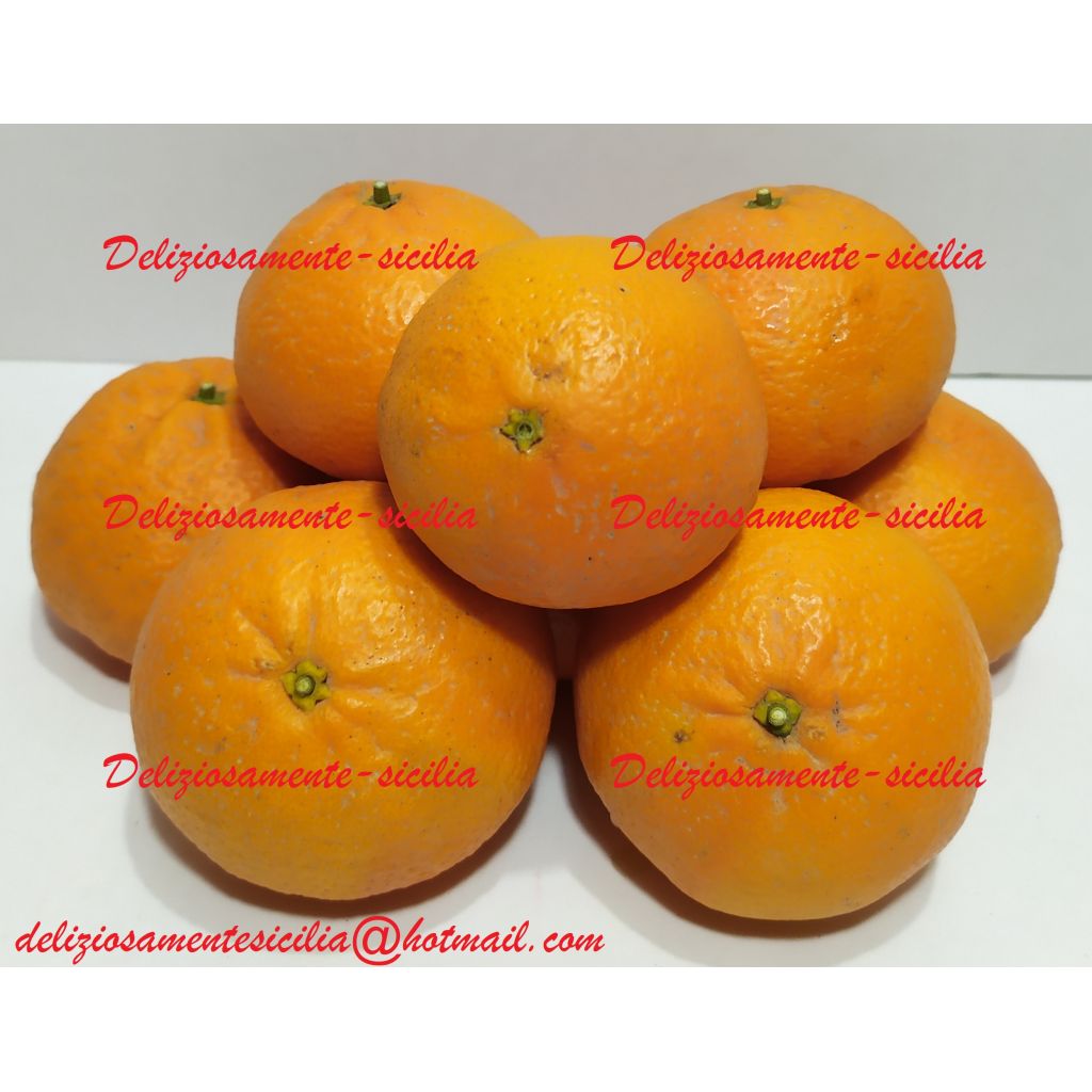 Clementine Ortanique di Sicilia - 25 Kg.