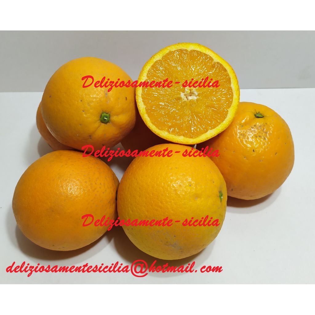 Arance bionde Lane Late pezzatura mista (scendialbero) di Sicilia.- 28 Kg