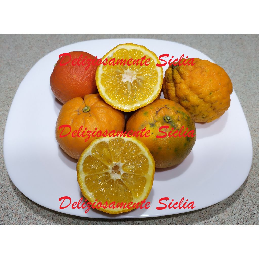 Arance amare Mel&agrave;ngolo di Sicilia - 25 Kg.