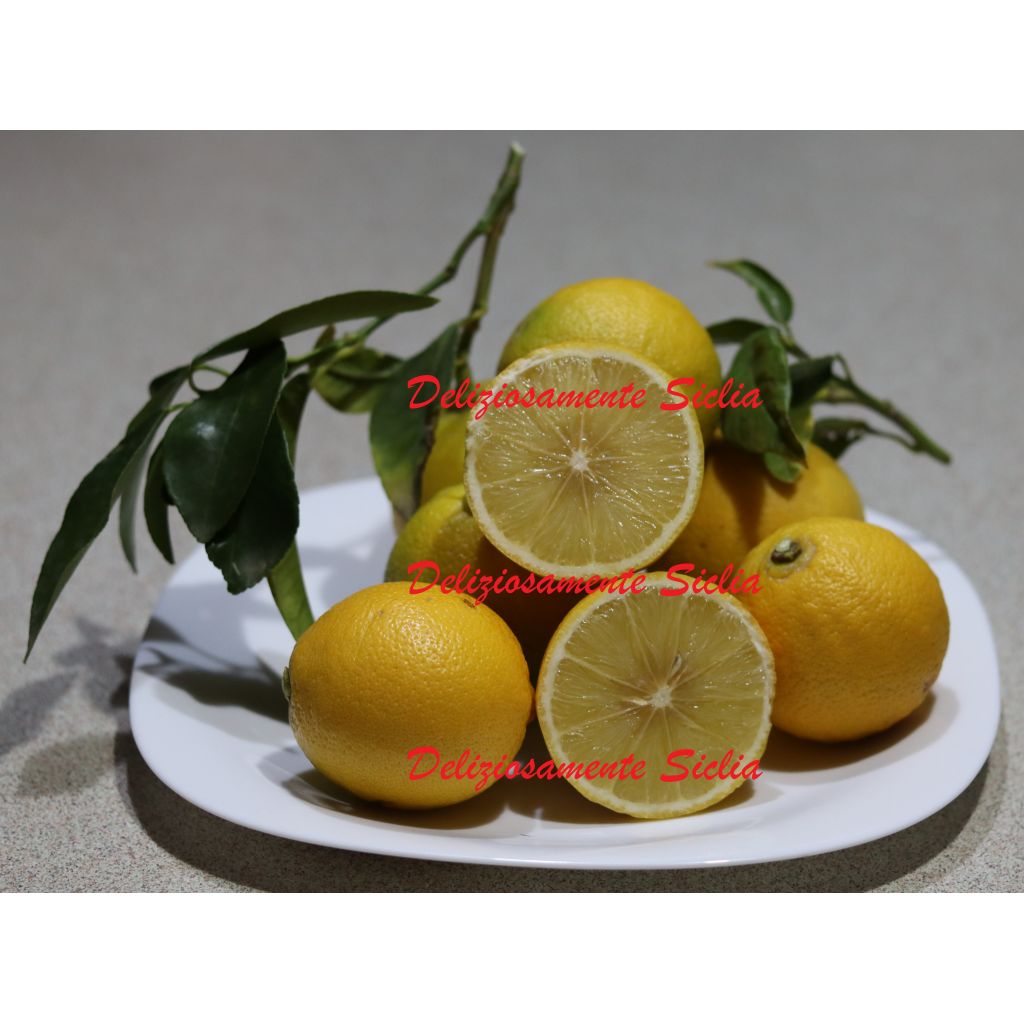 Bergamotto di Sicilia - 10 Kg.