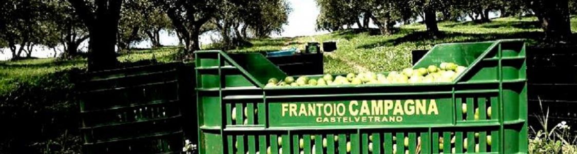 Frantoio di Campagna