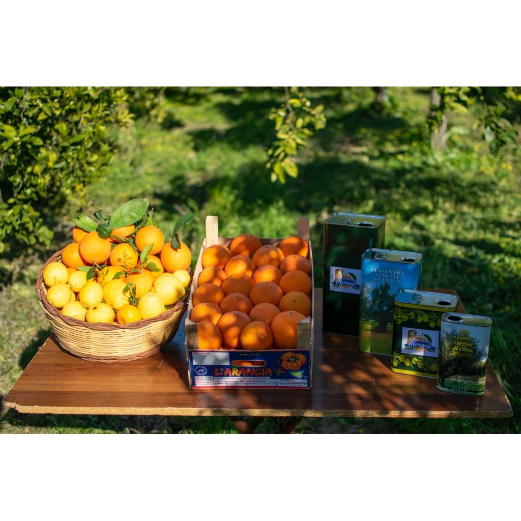 Box with two bands of 10 Kg