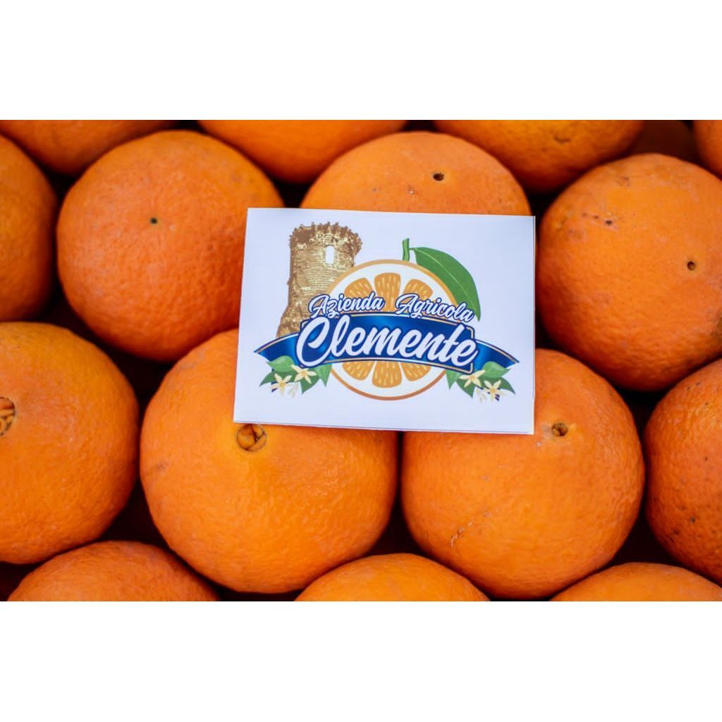 Box di Arance da tavola Washington Navel Kg 20