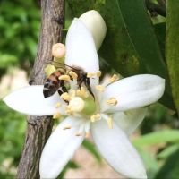 img_20200416_120446_199