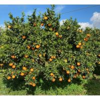 img_20201115_114436_831