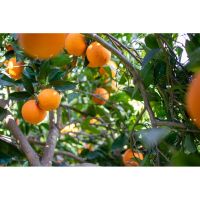 photo20210325004551 10