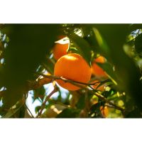 photo20210325004551 11