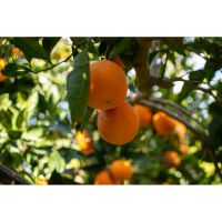 photo20210325004551 12