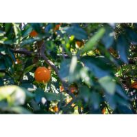 photo20210325004551 13