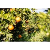 photo20210325004551 14