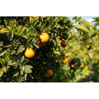 photo20210325004551 15