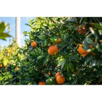 photo20210325004551 17