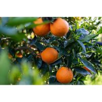 photo20210325004551 18