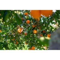 photo20210325004551 19  copia