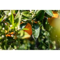 photo20210325004551 2