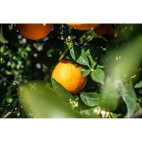 photo20210325004551 3