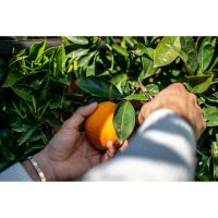 photo20210325004551 5