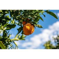 photo20210325004551 7