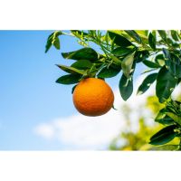 photo20210325004551 8