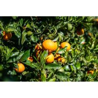 photo20210325004551 9