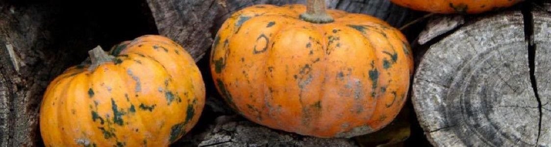 C&agrave; Masar&ograve;t