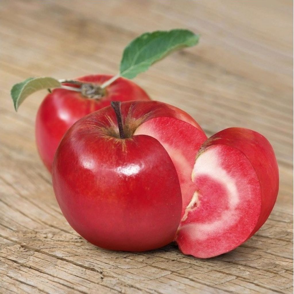 Mele abbondanza BIO (rosse fuori e dentro) Kg 1