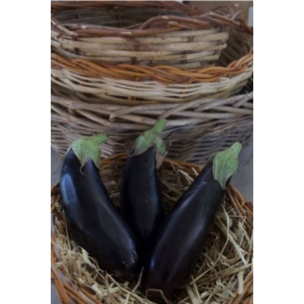 Melanzane lunghe kg 0,5