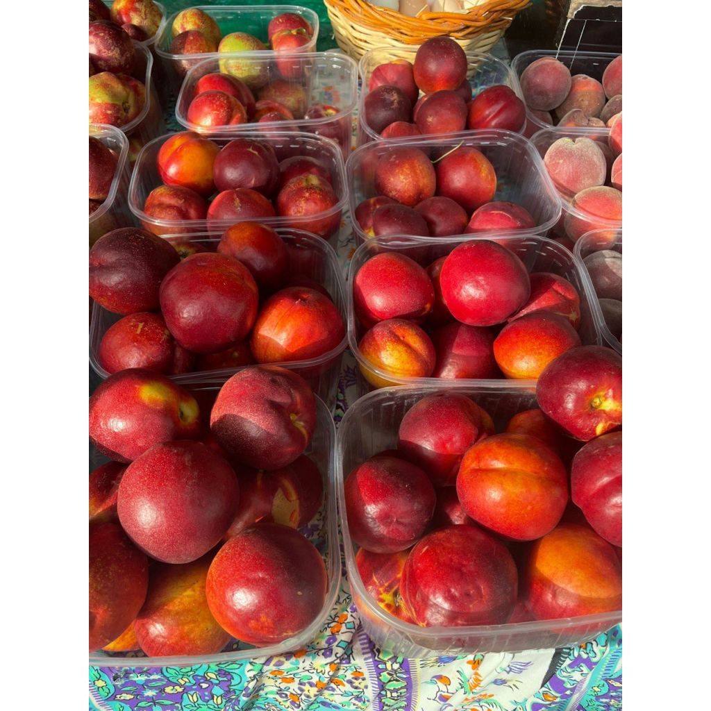 PESCHE nettarina senza pelo pasta gialla Kg 1