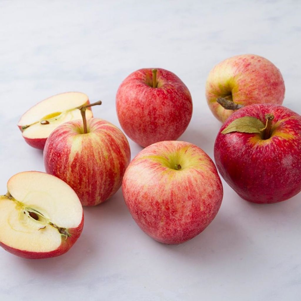 Mele BIO 2 Kg seconda scelta