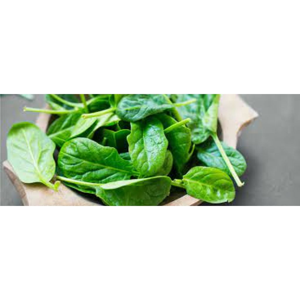 Spinaci Kg 0,5