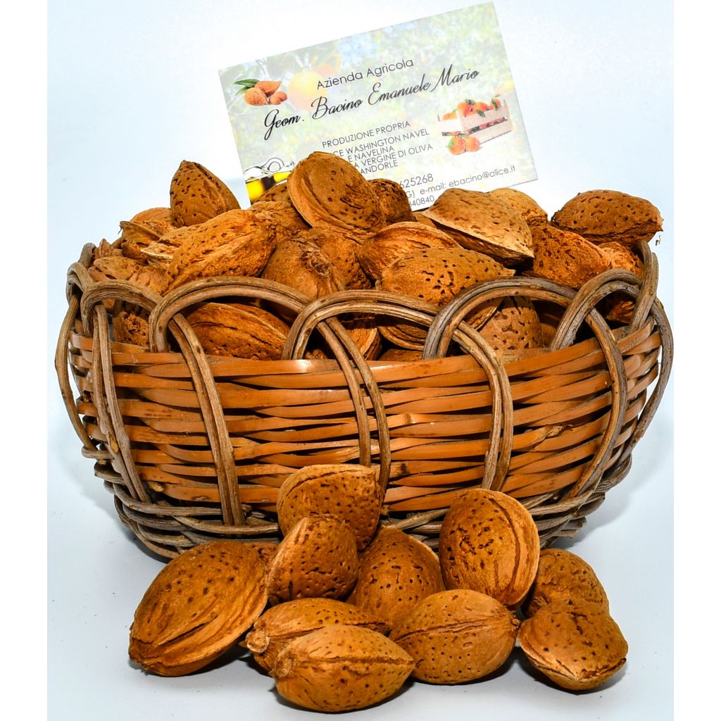 Confezione da 5 Kg di mandorle con guscio