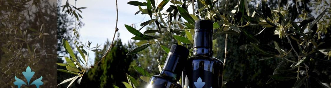 AZIENDA AGRICOLA MANZELLI MATTEO