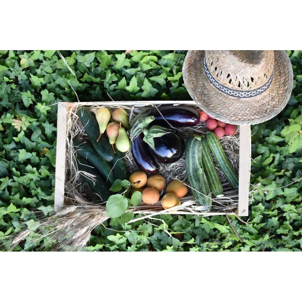 Cassetta di frutta e verdura mix