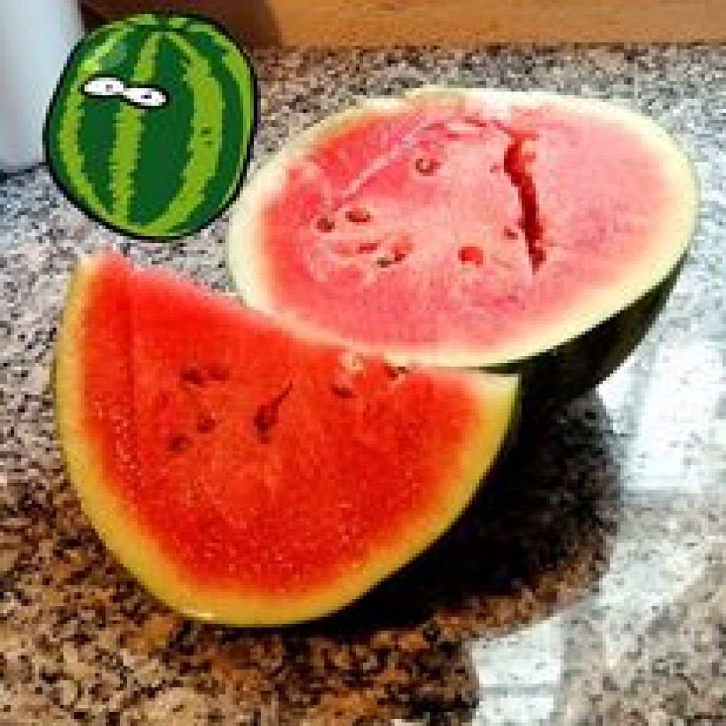 Anguria Minirossa 1 pezzo = 2/3 Kg