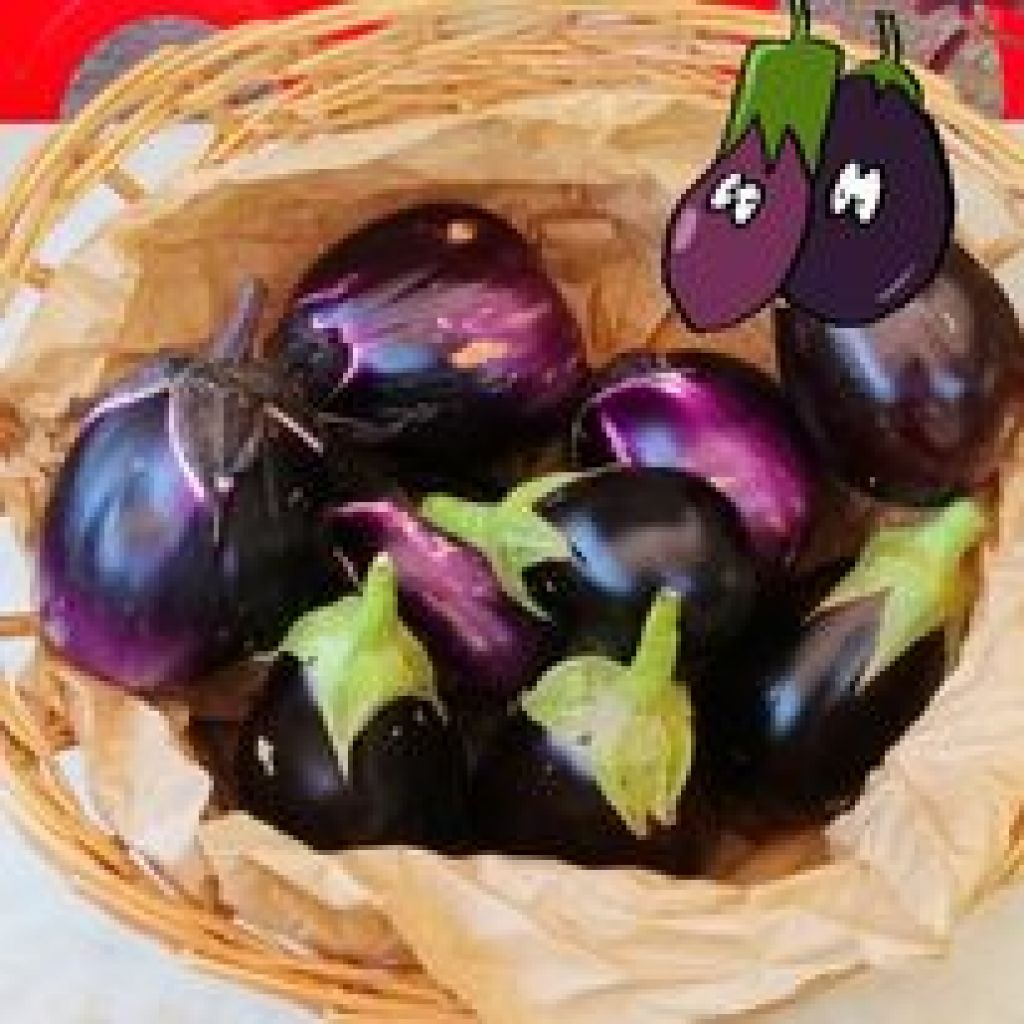 Melanzana Ovale - 1 Kg