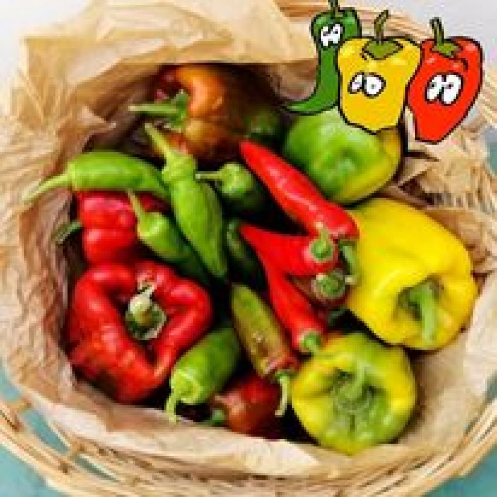 Peperone Quadrato Rosso e Giallo - 1 Kg