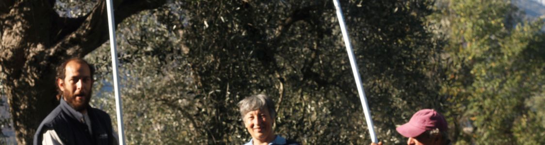 Prodotti di Natura di Sarra Teresa