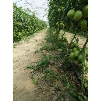 fb_img_1623481864940