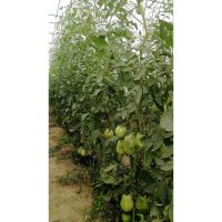 img_20210726_210242_479