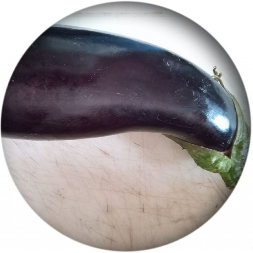 Melanzane lunghe nere