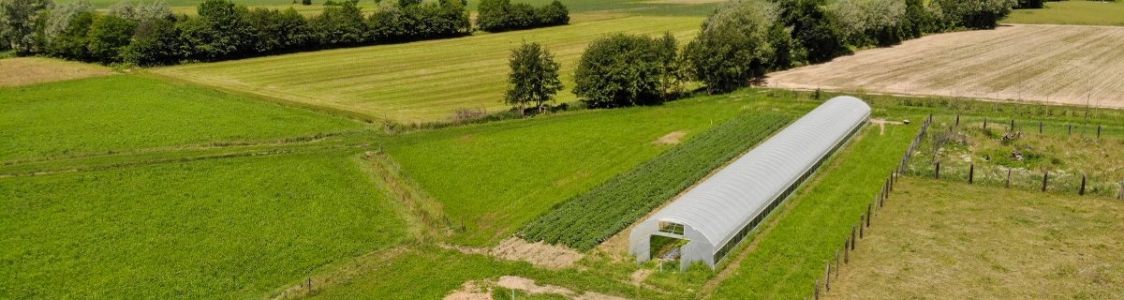 Azienda Agricola WE CAN