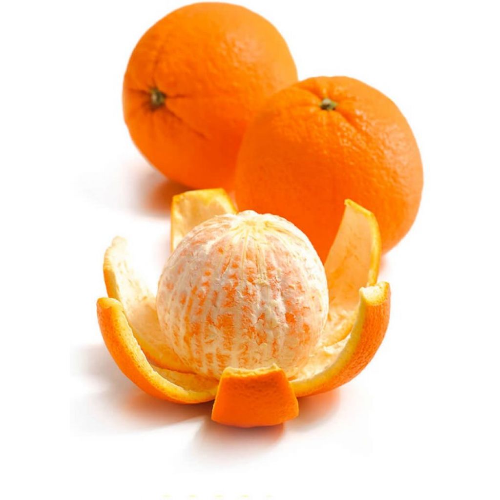 WASHINGTON NAVEL ORANGES - &ldquo;TABLE&rdquo; QUALITY - 17Kg