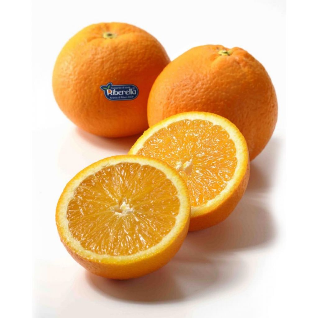 WASHINGTON NAVEL ORANGES - &ldquo;FIORONI&rdquo; QUALITY - 10 Kg
